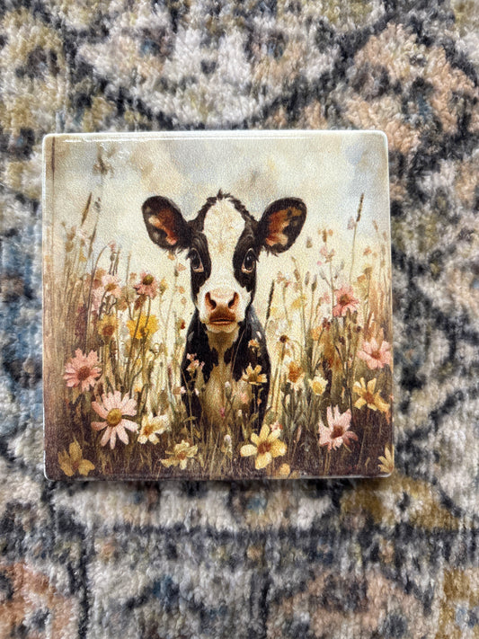 Coasters