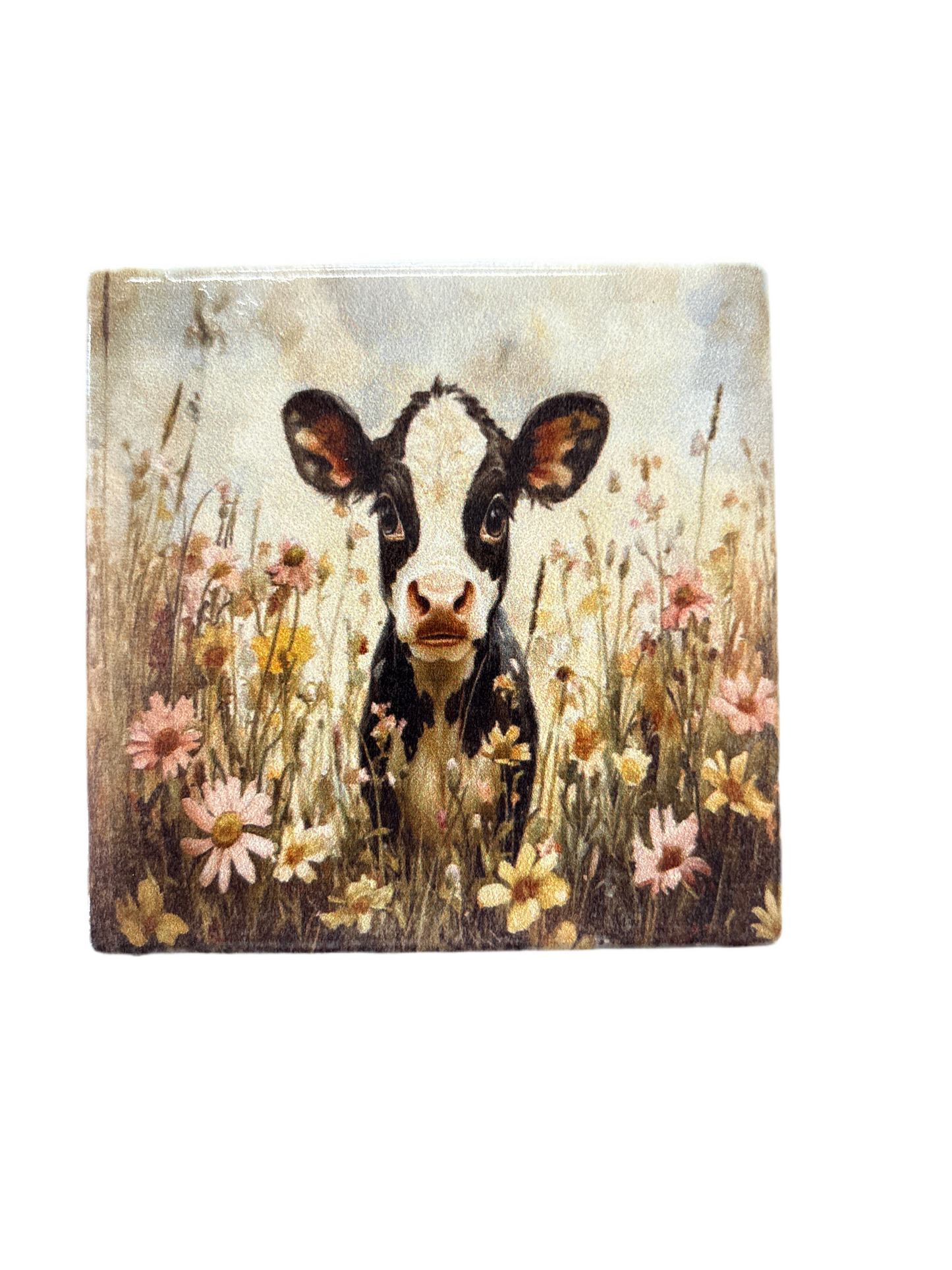 Coasters