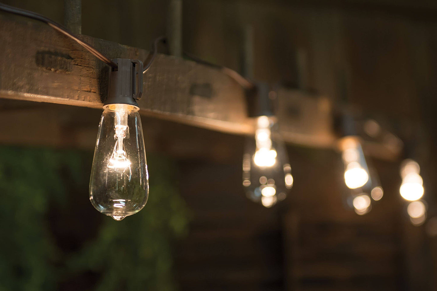 Clear Edison Light Strand, 10 ct.